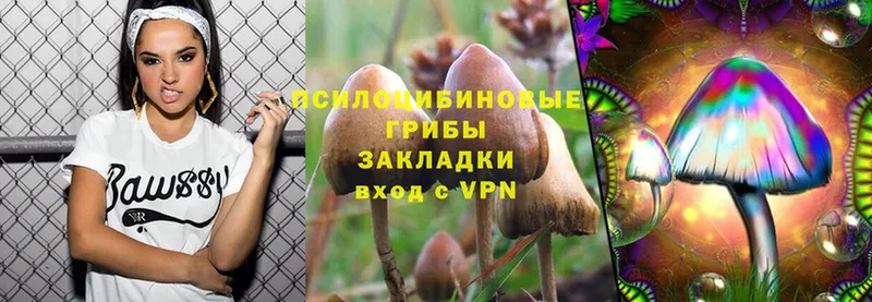 Галлюциногенные грибы Cubensis  хочу   Межгорье 